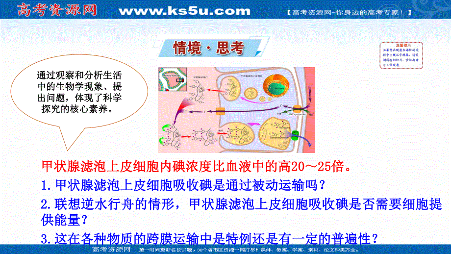 2021-2022学年新教材苏教版生物必修1课件：2-3-2 被动运输不需要细胞功能、主动运输需要细胞功能、细胞的胞吞和胞吐 .ppt_第2页