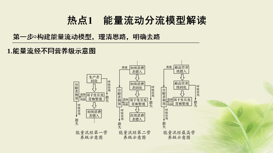 2018届高考生物一轮复习课件：补上一课6能量流动分流模型解读及相关计算 .ppt_第3页