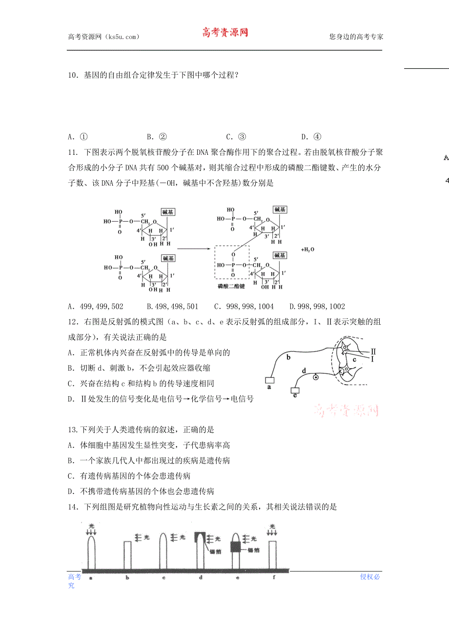 上海市十二校2013届高三上学期12月联考生物试题WORD版无答案.doc_第2页