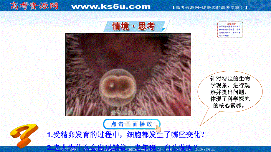 2021-2022学年新教材苏教版生物必修1课件：4-2 细胞分化、衰老和死亡 .ppt_第2页