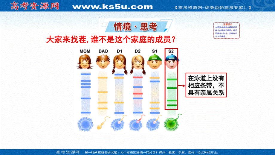 2021-2022学年新教材苏教版生物必修1课件：1-3-2 细胞中的蛋白质和核酸--检测生物组织中的蛋白质、核酸储存与传递遗传信息 .ppt_第2页