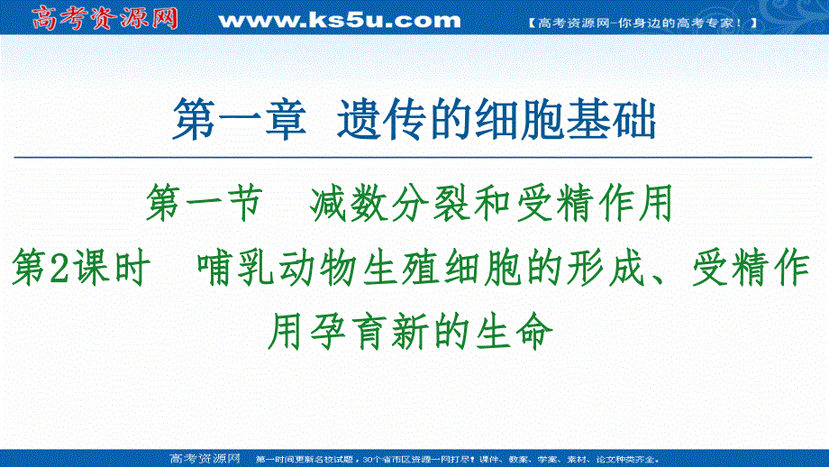 2021-2022学年新教材苏教版生物必修2课件：第1章 第1节 第2课时　哺乳动物生殖细胞的形成、受精作用孕育新的生命 .ppt_第1页