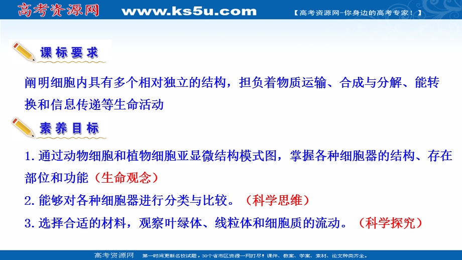 2021-2022学年新教材苏教版生物必修1课件：2-2-2 细胞-生命活动的基本单位--结构与功能独特的细胞器 .ppt_第3页