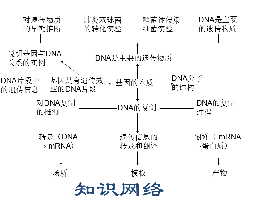 2012届高三生物一轮复习课件：第七单元_遗传的分子基础.ppt_第2页