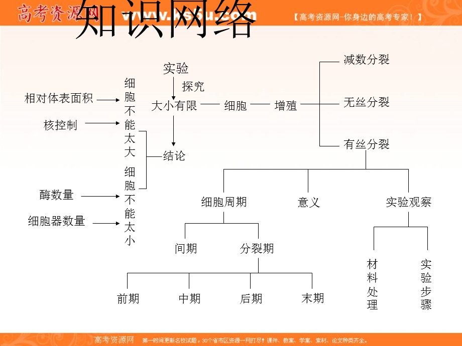 2012届高三生物一轮复习知识网络汇总：第4单元 细胞的增殖.ppt_第2页