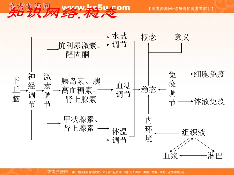 2012届高三生物一轮复习知识网络汇总：第12单元 人体的内环境与稳态.ppt_第2页