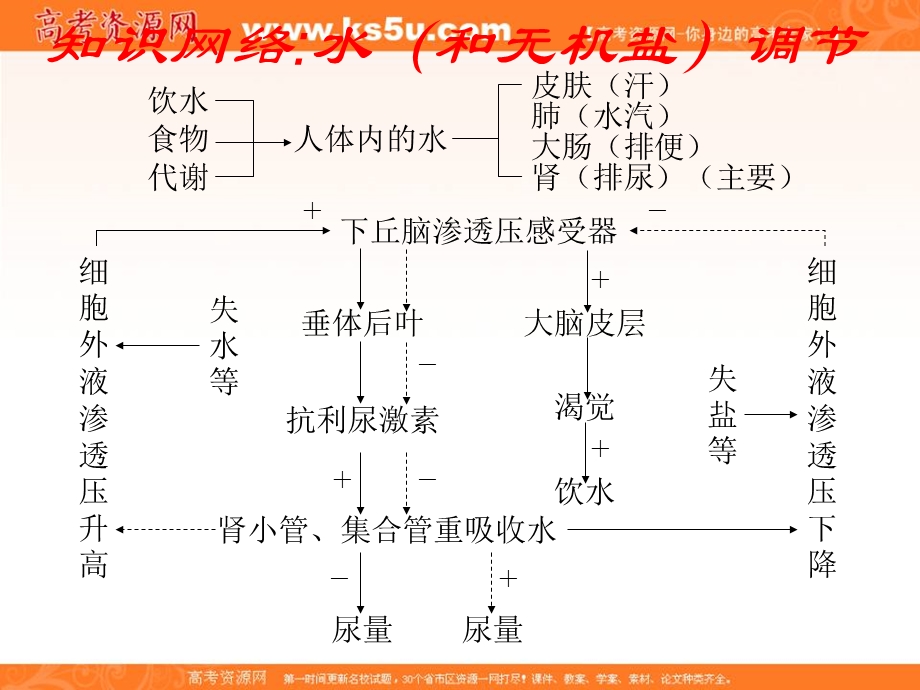 2012届高三生物一轮复习知识网络汇总：第12单元 人体的内环境与稳态.ppt_第3页