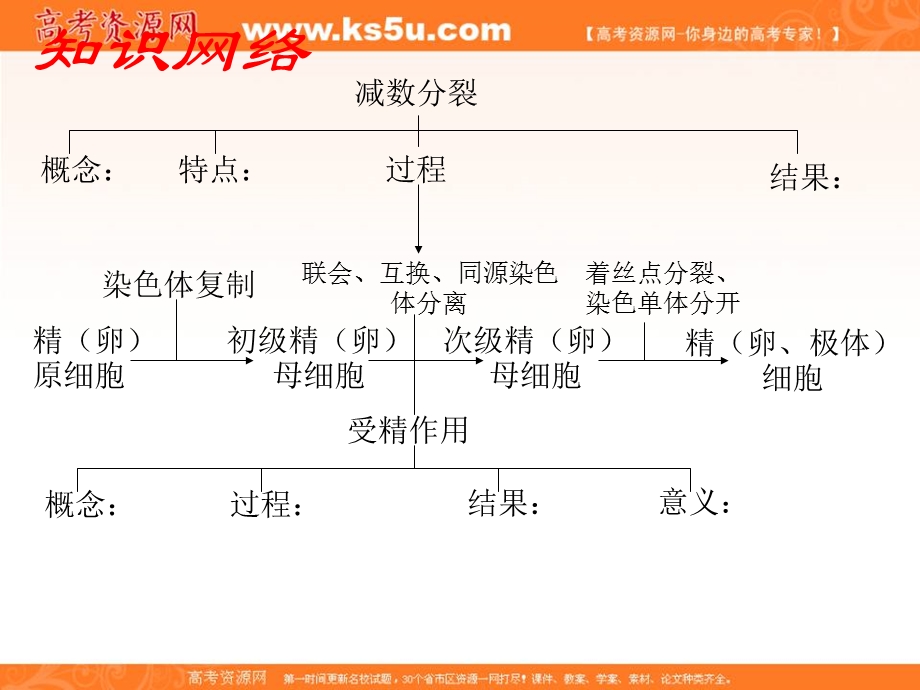 2012届高三生物一轮复习知识网络汇总：第6单元 遗传的细胞基础.ppt_第2页