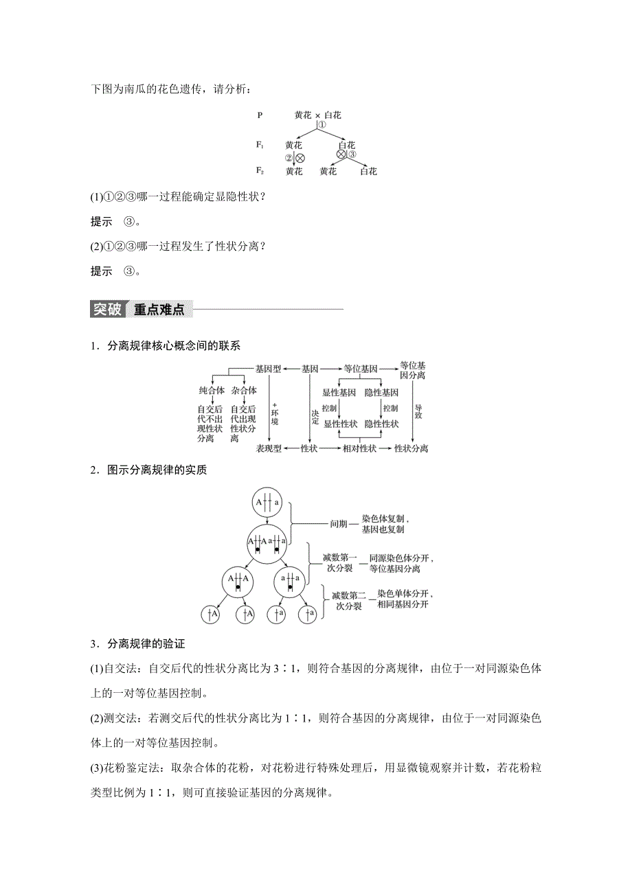 2018版高考生物（北师大版）大一轮复习讲义文档 第六单元 遗传信息的传递规律 第19讲 WORD版含答案.docx_第3页