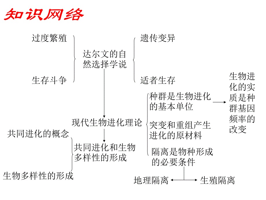 2012届高三生物一轮复习课件：第十一单元_生物的进化.ppt_第2页