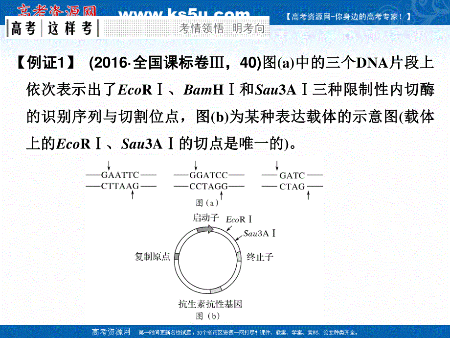 2018届高考生物总复习考点加强课6课件-限制酶的选择与目的基因的检测与鉴定 .ppt_第2页