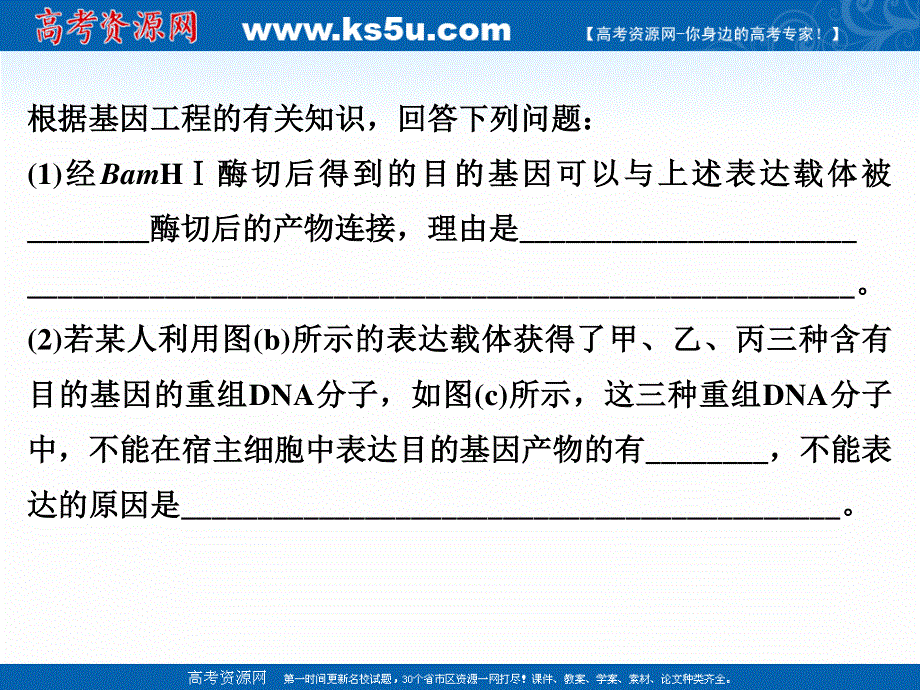 2018届高考生物总复习考点加强课6课件-限制酶的选择与目的基因的检测与鉴定 .ppt_第3页