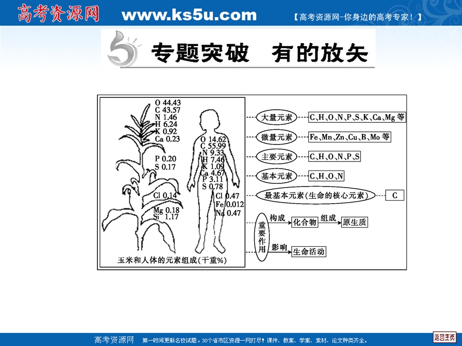 2012届高三生物二轮复习课件 第1专题 生命的物质基础、结构基础.ppt_第3页