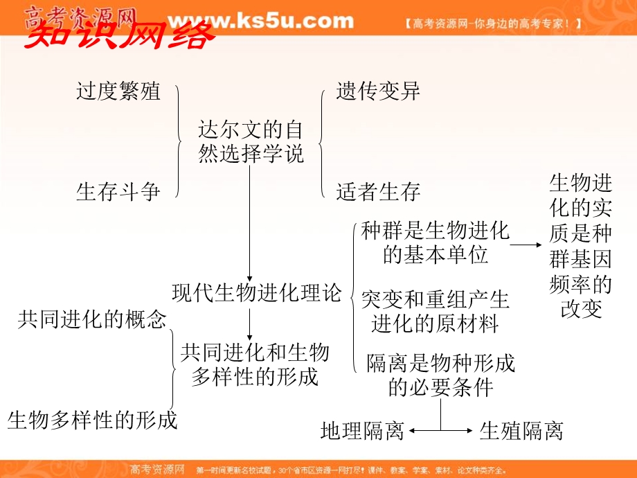 2012届高三生物一轮复习知识网络汇总：第11单元 生物的进化.ppt_第2页