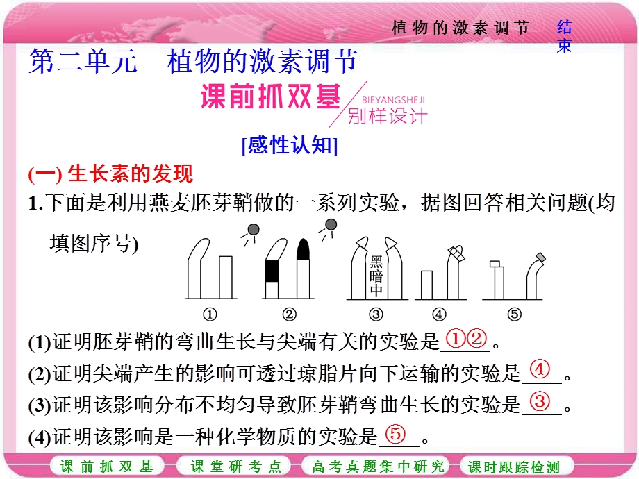 2017届高中生物一轮复习课件：必修3 第二单元 植物的激素调节植物的激素调节 .ppt_第1页