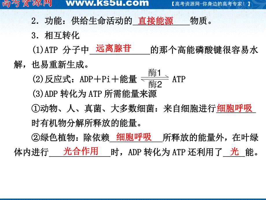 2012届高三生物步步高一轮复习课件（人教版）：第3单元第10课时ATP的主要来源——细胞呼吸.ppt_第2页