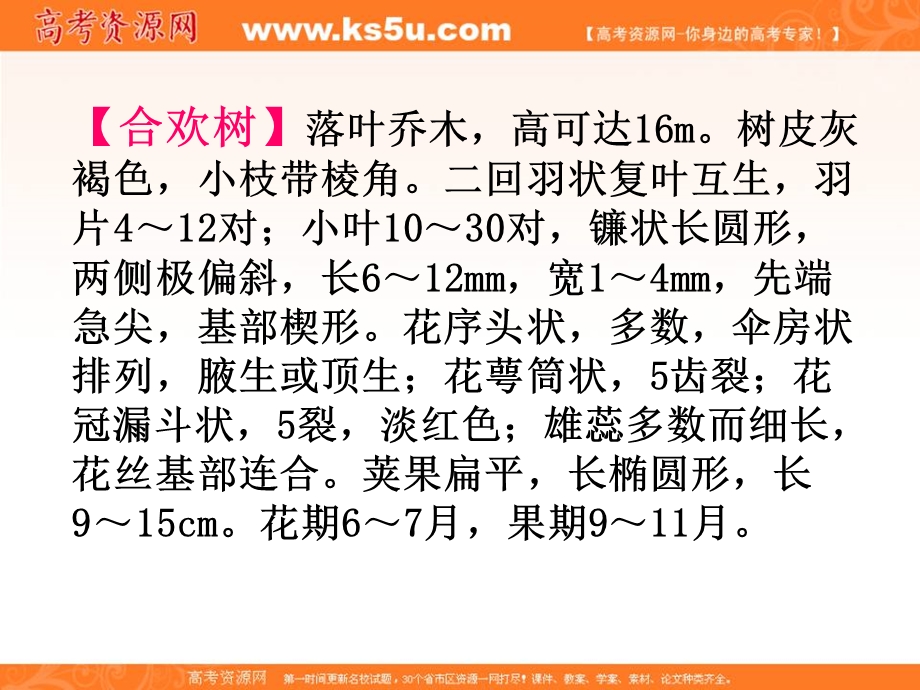 2017届高中语文沪教版必修1课件：2-5《合欢树》 .ppt_第2页