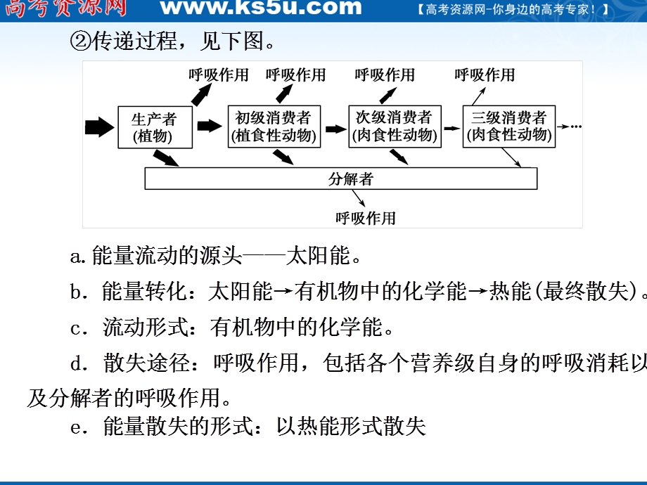 2012届高三生物步步高一轮复习课件（人教版）：第9单元第36课时生态系统的能量流动和物质循环.ppt_第2页