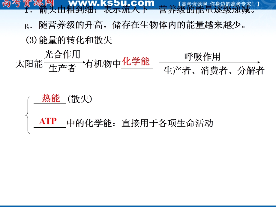 2012届高三生物步步高一轮复习课件（人教版）：第9单元第36课时生态系统的能量流动和物质循环.ppt_第3页