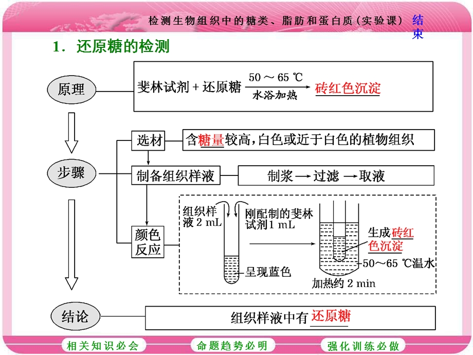 2017届高中生物一轮复习课件：必修1 第一单元　细胞及其分子组成第三讲 检测生物组织中的糖类、脂肪和蛋白质（实验课） .ppt_第2页