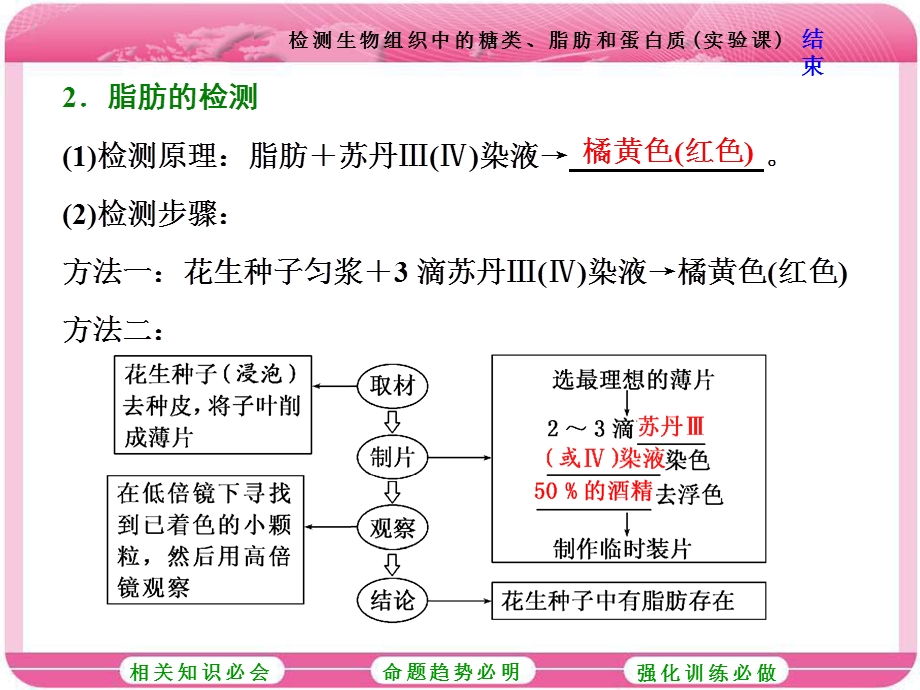 2017届高中生物一轮复习课件：必修1 第一单元　细胞及其分子组成第三讲 检测生物组织中的糖类、脂肪和蛋白质（实验课） .ppt_第3页