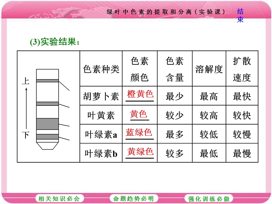 2017届高中生物一轮复习课件：必修1 第三单元　细胞的能量供应和利用 第三讲 第1课时　绿叶中色素的提取和分离（实验课） .ppt_第3页