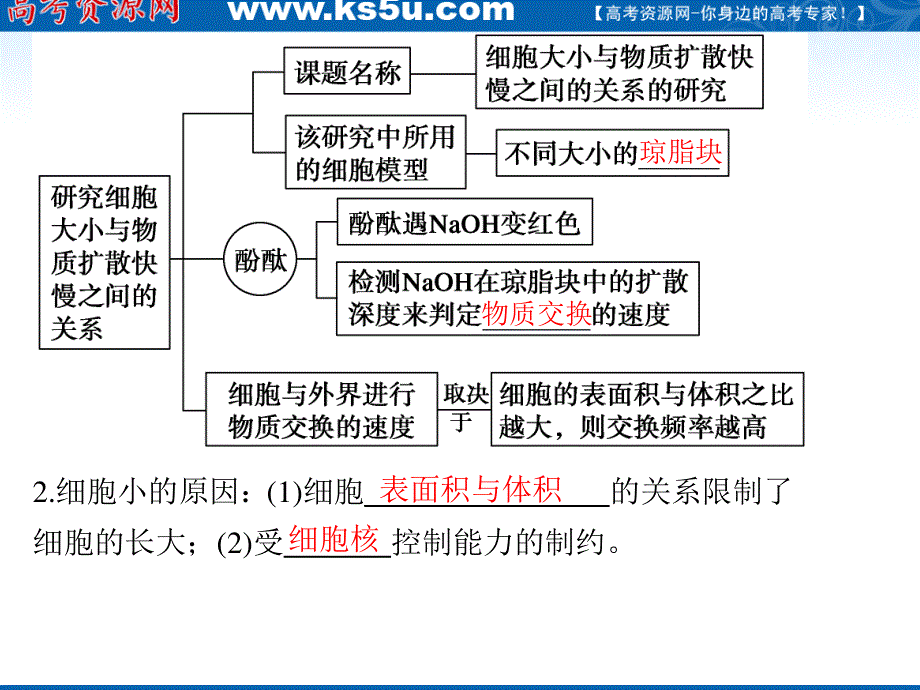 2012届高三生物步步高一轮复习课件（人教版）：第4单元第13课时细胞的增殖.ppt_第2页