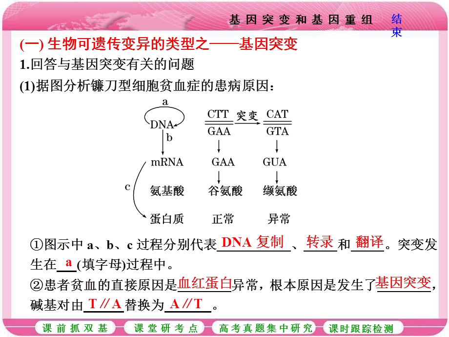 2017届高中生物一轮复习课件：必修2 第三单元 生物的变异、育种与进化 第一讲 基因突变和基因重组 .ppt_第2页