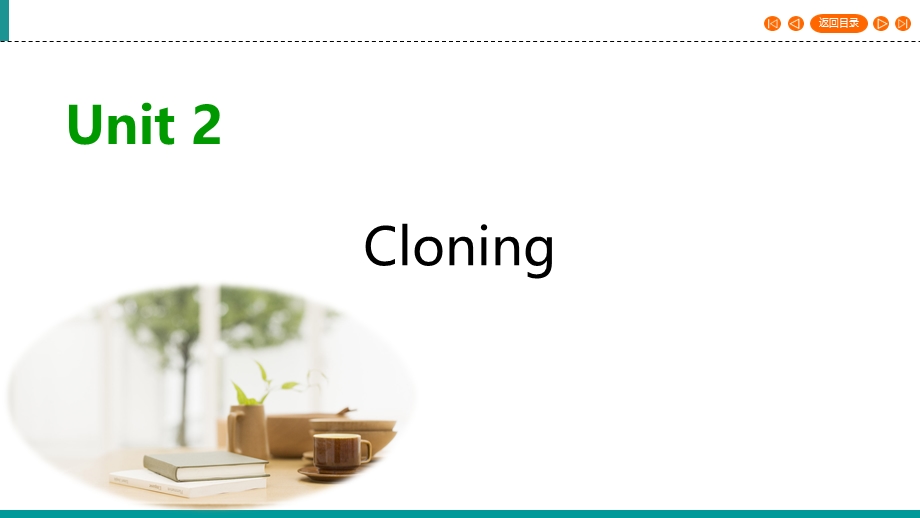 2019-2020学年人教版高中英语选修八同步课件：UNIT 2 CLONING SECTION 3 .ppt_第1页