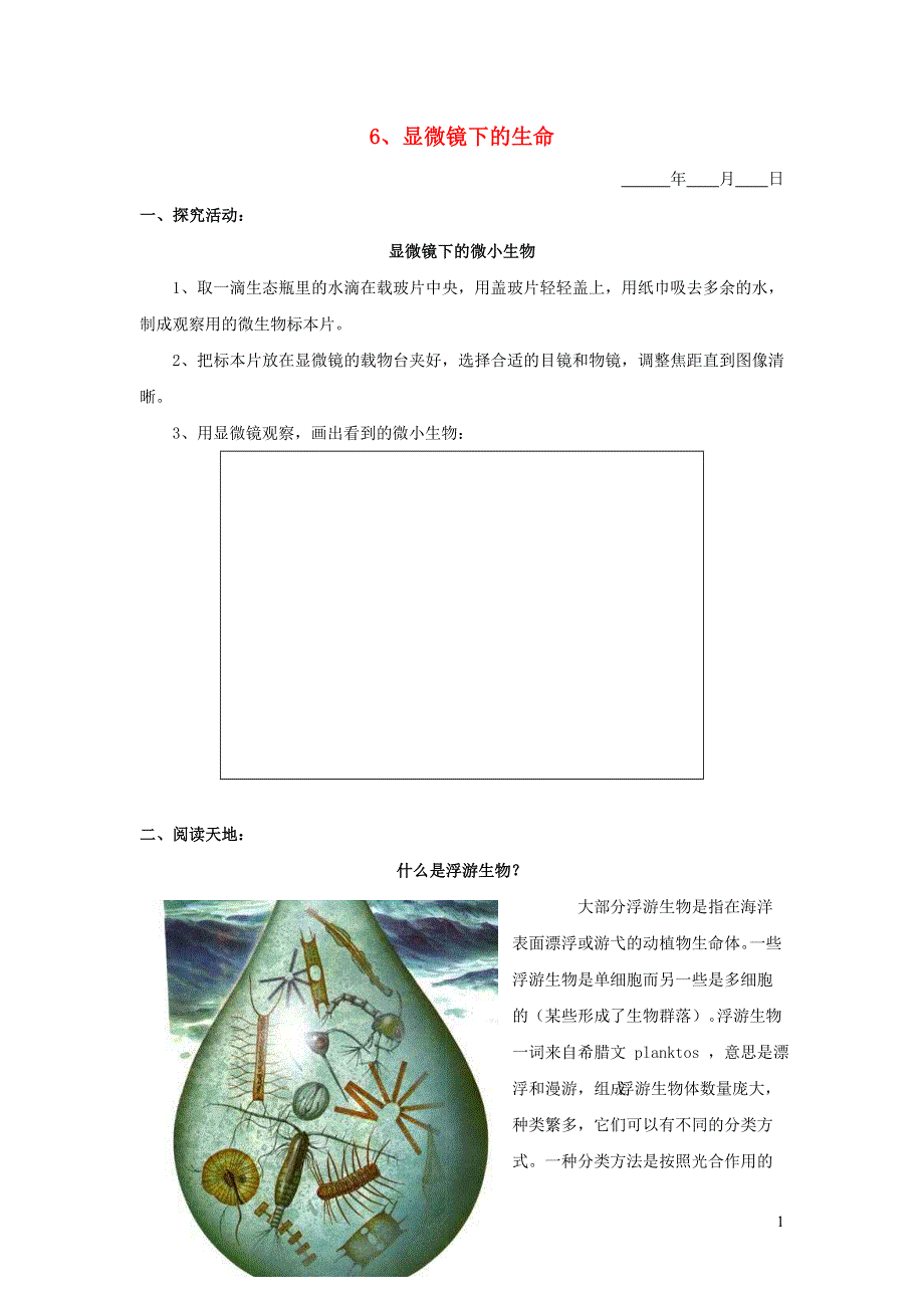 五年级科学下册 第三单元 生物与环境（二）6 显微镜下的生命探究活动素材 教科版.doc_第1页