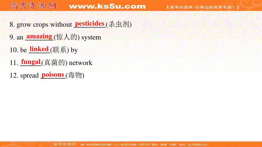 2021-2022学年新教材英语外研版选择性必修第一册课件：UNIT 5　REVEALING NATURE　DEVELOPING IDEAS .ppt_第3页