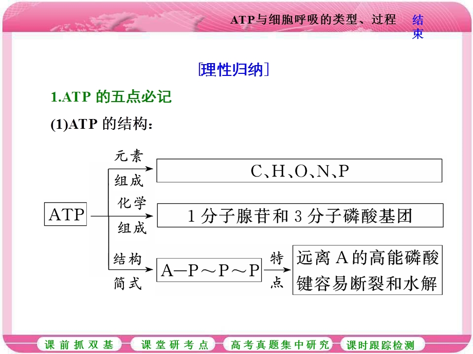 2017届高中生物一轮复习课件：必修1 第三单元　细胞的能量供应和利用 第二讲 第1课时　ATP与细胞呼吸的类型、过程 .ppt_第3页