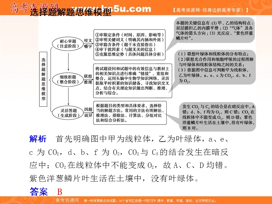 2012届高三生物步步高一轮复习课件（苏教版）：必修1第三单元单元综合提升.ppt_第3页