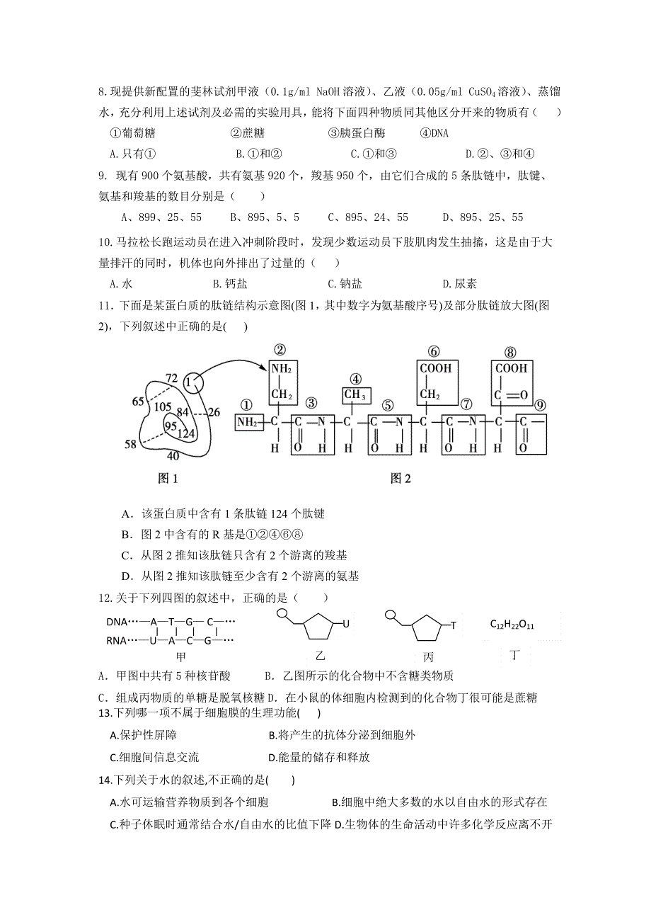 11-12学年高一生物复习 生物精练45.doc_第2页