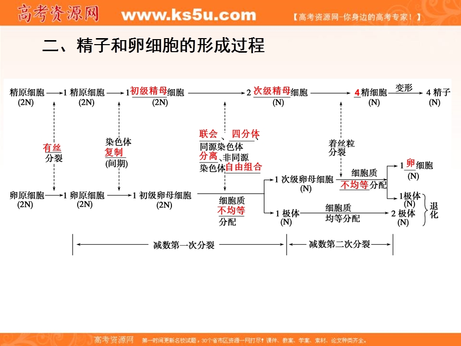 2012届高三生物步步高一轮复习课件（苏教版）：必修2第五单元第16课时.ppt_第2页