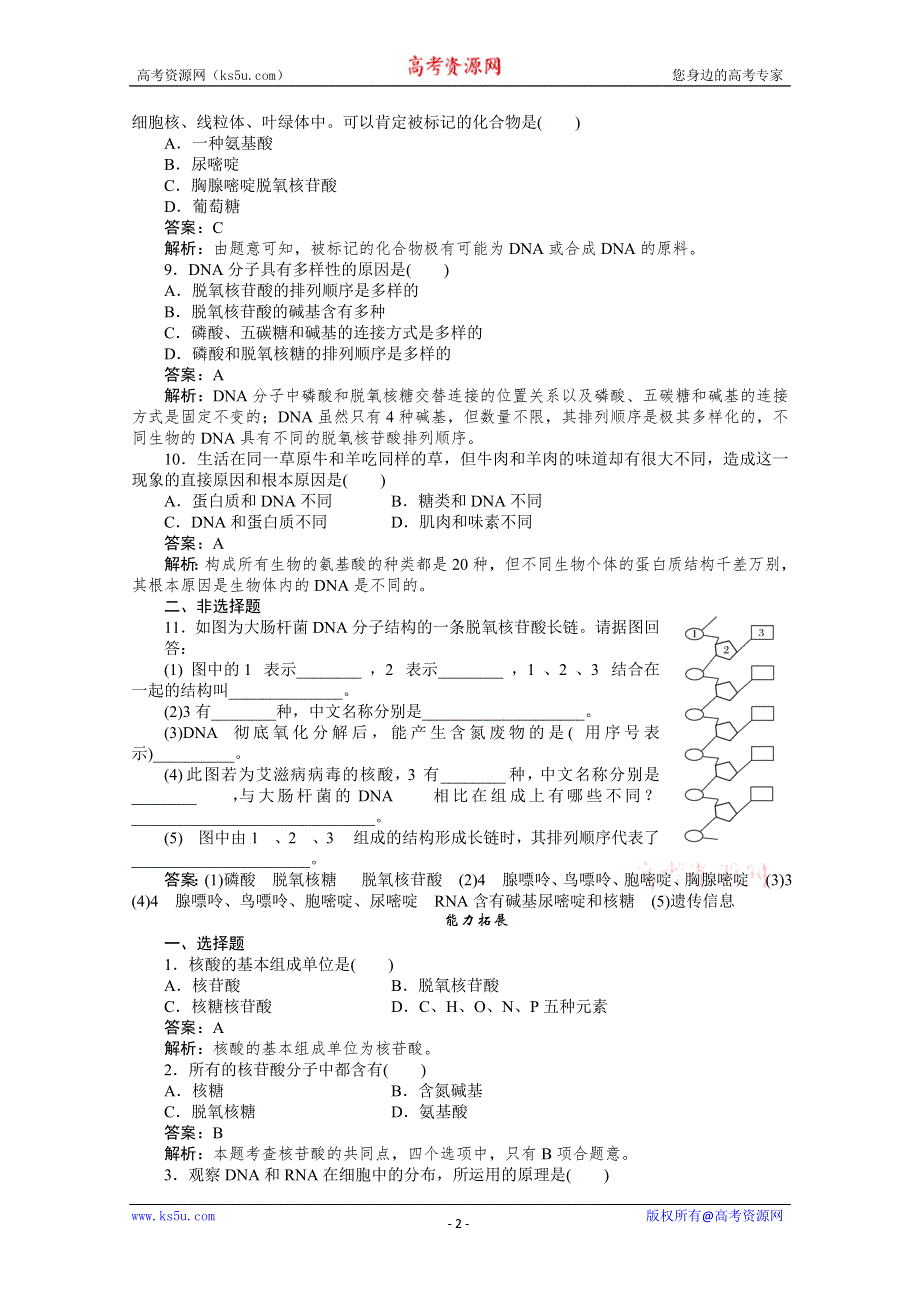 11-12学年高一生物：2-3遗传信息的携带者----核酸练习（新人教版必修1）.doc_第2页