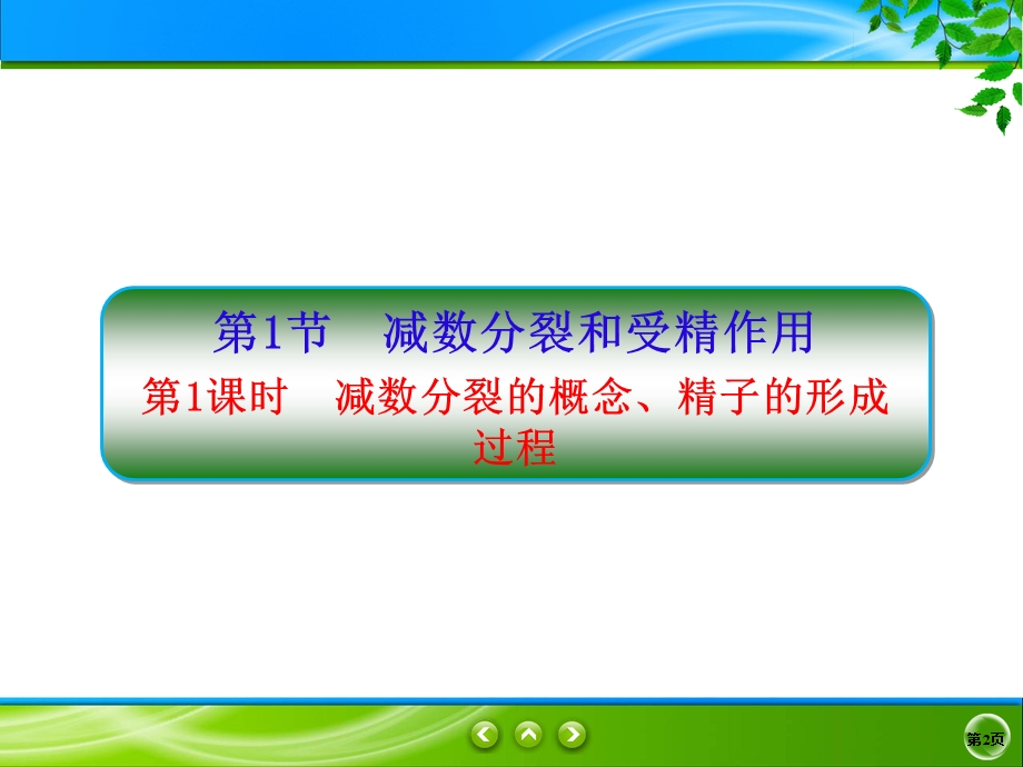 2019-2020学年人教版生物必修二同步课件：2-1-1　减数分裂的概念、精子的形成过程 .ppt_第2页