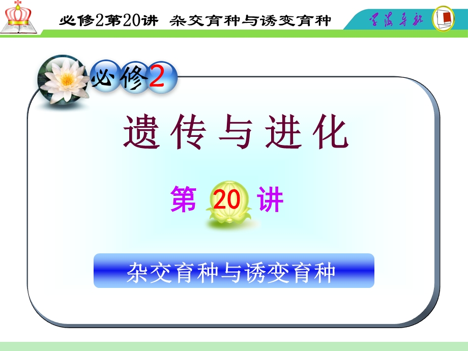 2012届高三一轮复习生物课件（人教山西用）必修2第20讲_杂交育种与诱变育种.ppt_第1页