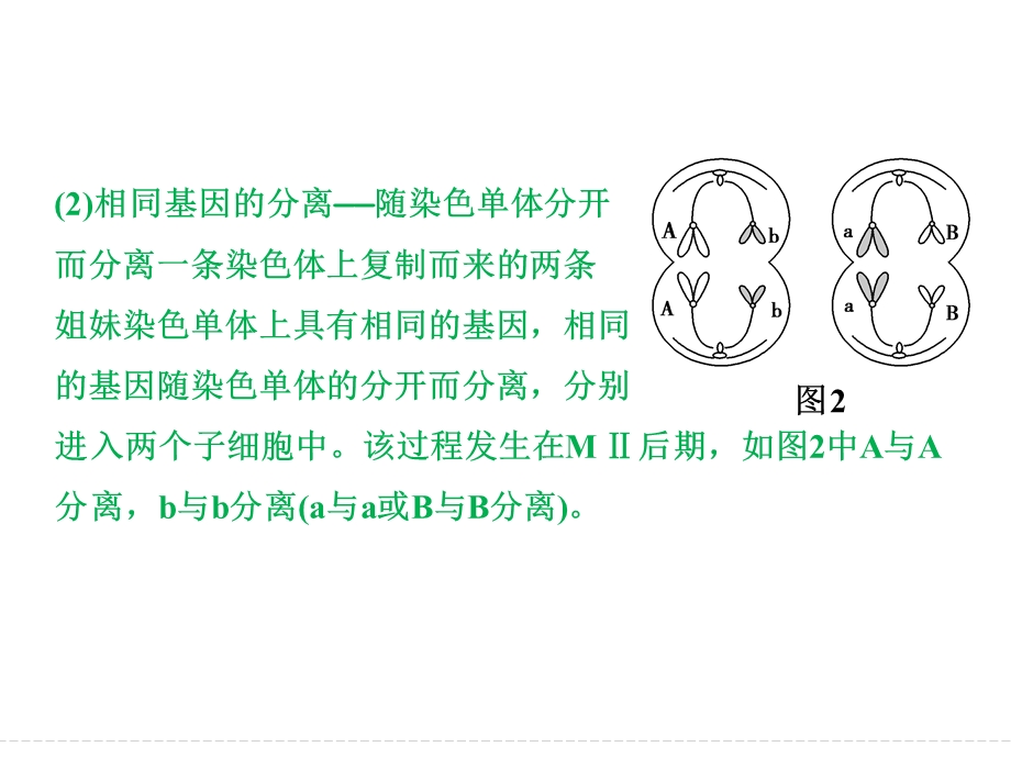 2016届《创新设计》高考生物（苏教版）大一轮复习课件：考能大提升4 .ppt_第3页