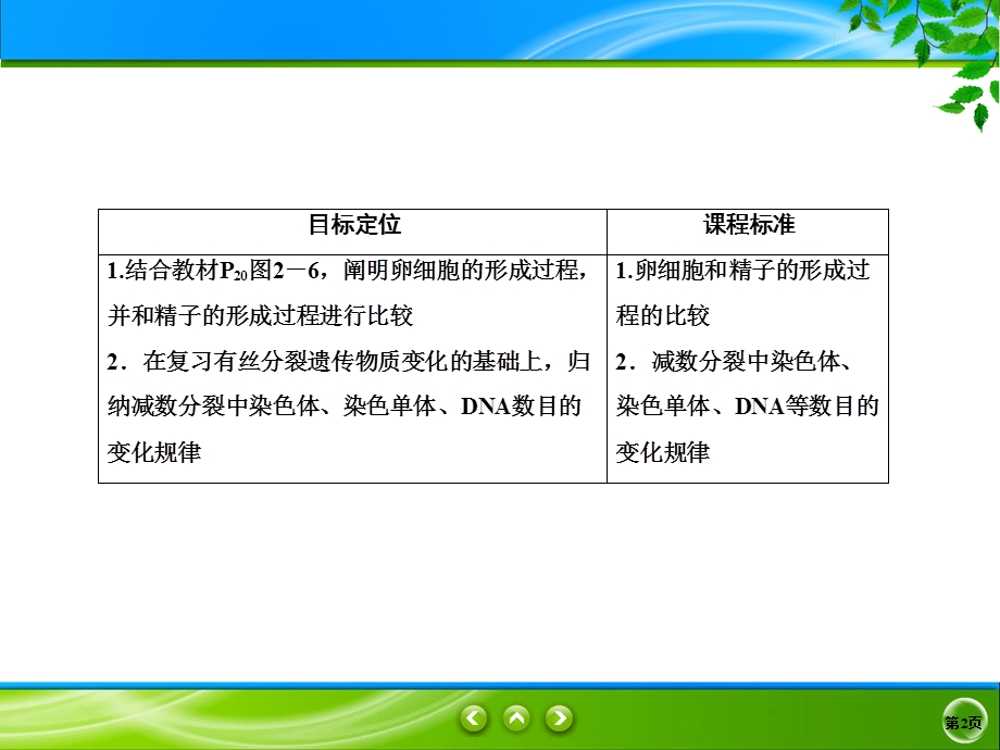 2019-2020学年人教版生物必修二同步课件：2-1-2　卵细胞的形成过程、减数分裂中遗传物质的数目变化 .ppt_第2页