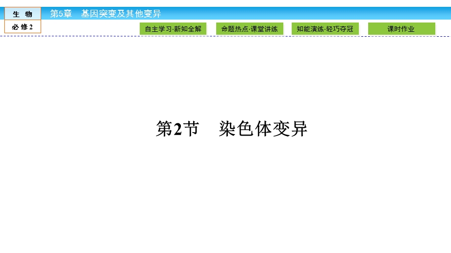 2019-2020学年人教版生物必修二培优学案课件：第5章 基因突变及其他变异5-2 .ppt_第2页