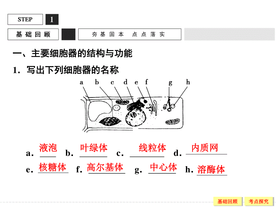 2016届《创新设计》高考生物（苏教版）大一轮复习精讲课件：必修1 第2单元 细胞的基本结构与物质运输-6 .ppt_第3页