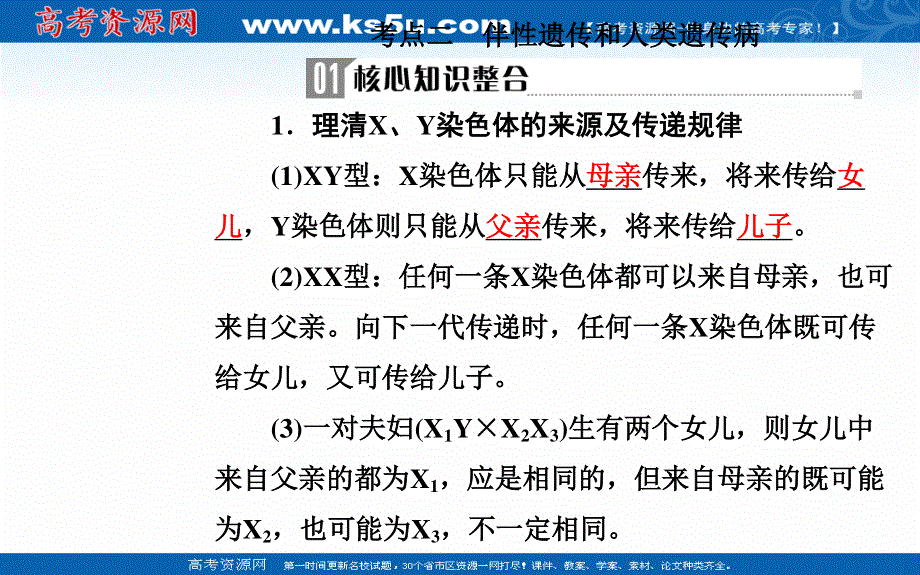 2020届生物高考二轮专题复习课件：专题六考点二 伴性遗传和人类遗传病 .ppt_第2页