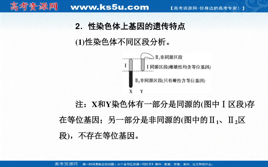 2020届生物高考二轮专题复习课件：专题六考点二 伴性遗传和人类遗传病 .ppt_第3页