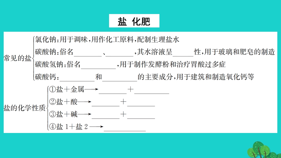 2022九年级化学下册 第十一单元 盐 化肥单元高频考点训练与易错易混突破作业课件 （新版）新人教版.ppt_第2页