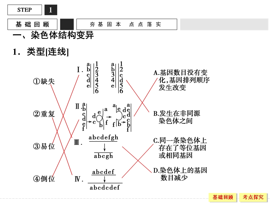 2016届《创新设计》高考生物（苏教版）大一轮复习精讲课件：必修2 第3单元 生物的变异、育种与进化-22 .ppt_第3页