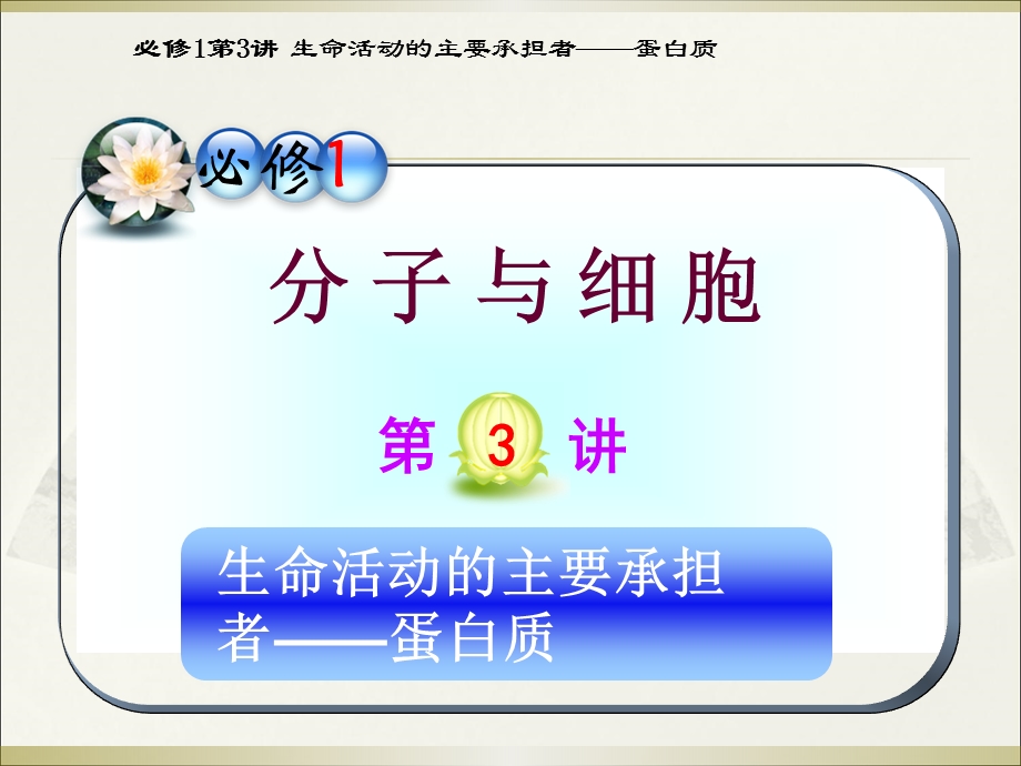 2012届高三一轮复习生物课件（人教山西用）必修1第3讲_生命活动的主要承担者――蛋白质.ppt_第1页