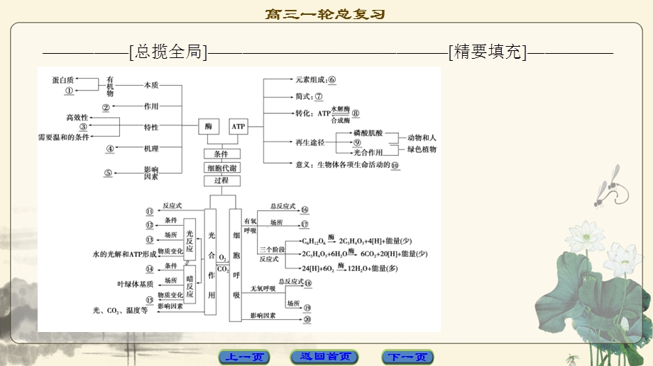 2018届高三苏教版生物一轮复习课件 必修1 第3单元 单元高效整合 .ppt_第2页