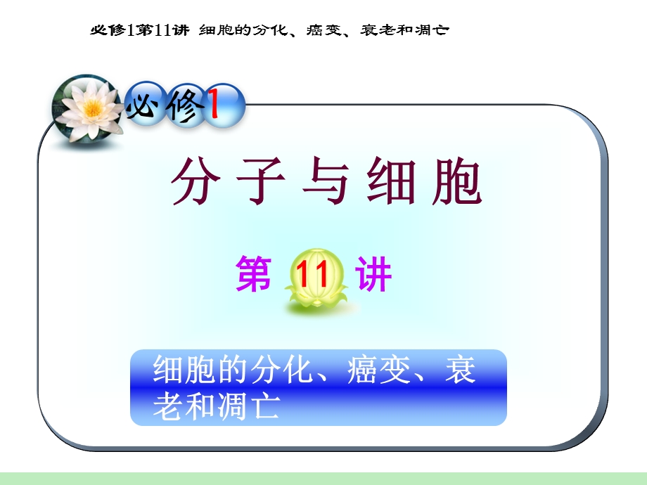 2012届高三一轮复习生物课件（人教山西用）必修1第11讲_细胞的分化、癌变、衰老和凋亡.ppt_第1页