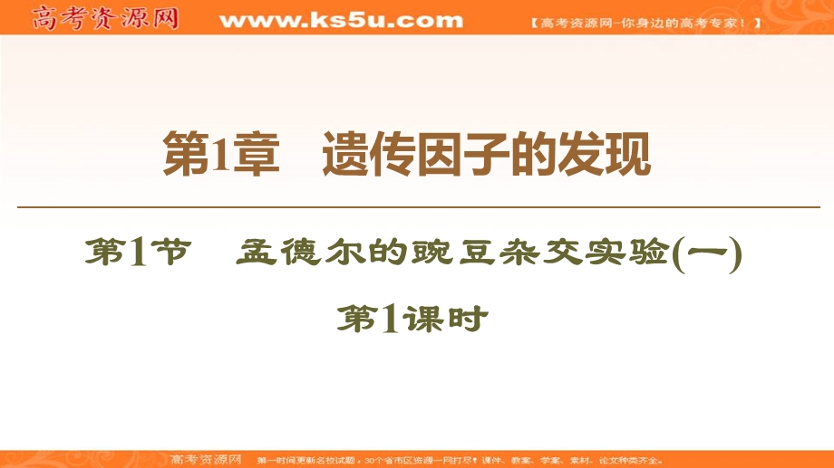 2019-2020学年人教版生物必修二课件：第1章 第1节 孟德尔的豌豆杂交实验1　第1课时 .ppt_第1页